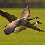 thumbs/IMG_9015.jpg